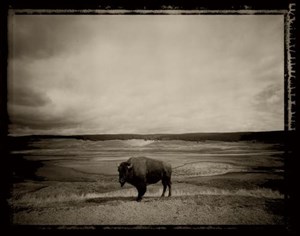 Image description is not available for 2013.001